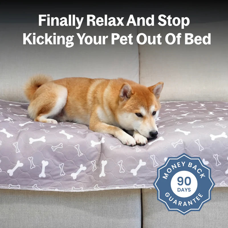 PupPad™ - The Last Pee Pad You'll Need