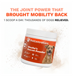 PetCentralCare - Hip & Joint Powder