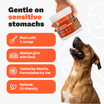 PetCentralCare - Hip & Joint Powder