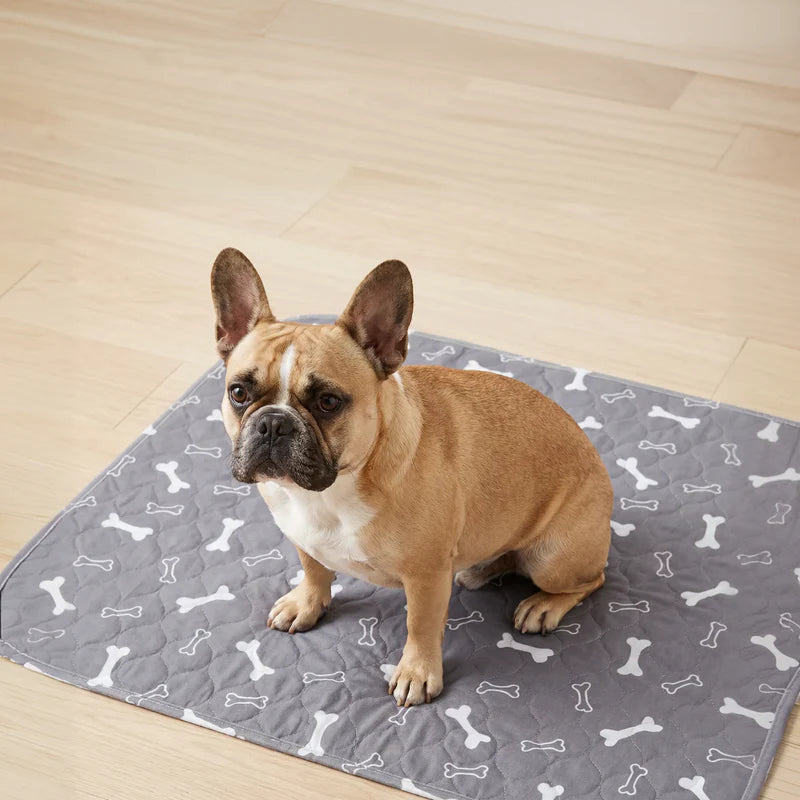PupPad™ - The Last Pee Pad You'll Need